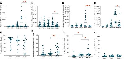 Origin, phenotype and autoimmune potential of T cells in human immune system mice receiving neonatal human thymus tissue